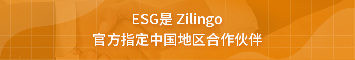 Zilingo.jpg