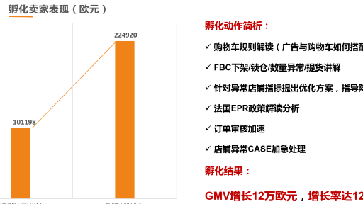 新一轮Cdiscount平台孵化服务