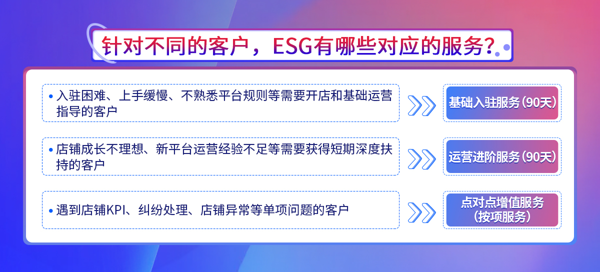 针对不同的客户，ESG有哪些对应的服务？【OZON】