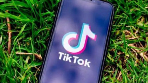 tk的入驻入口以及物流渠道介绍